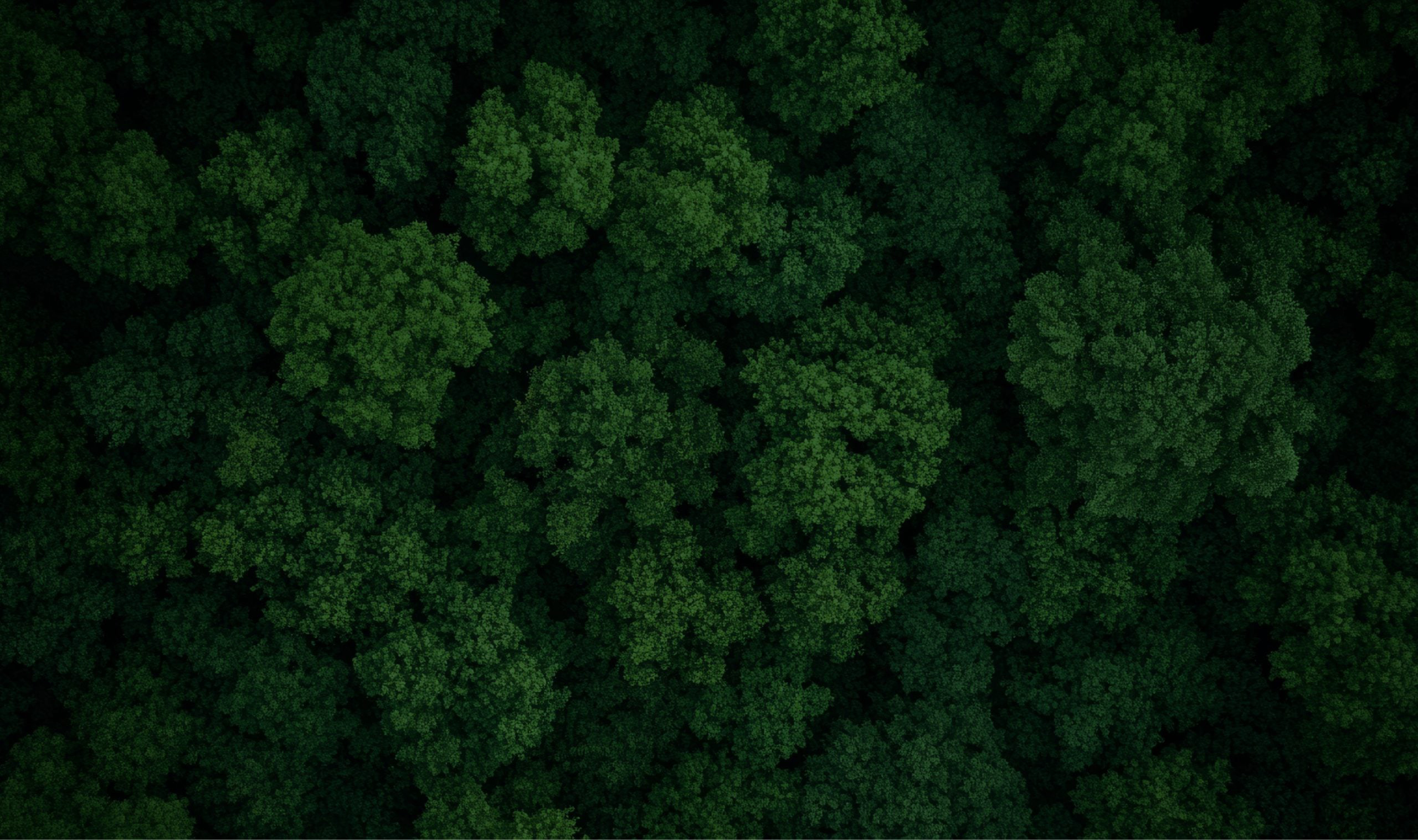 Sustainable Background