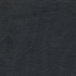 Black Vinyl