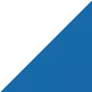 Blue / White Polymer