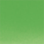 Green Polymer