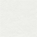 White Leather