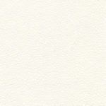 White Vinyl