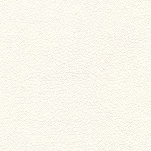 White Vinyl
