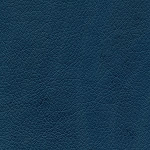 Atlantic Blue Vinyl