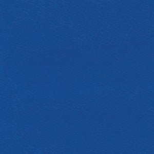 Blue Vinyl