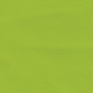 Citrus Vinyl