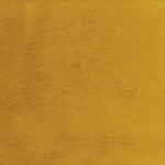 Golden Mustard Velvet