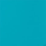 Turqoise Fabric