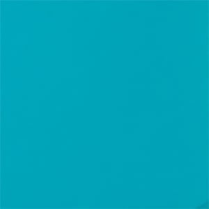 Turqoise Fabric